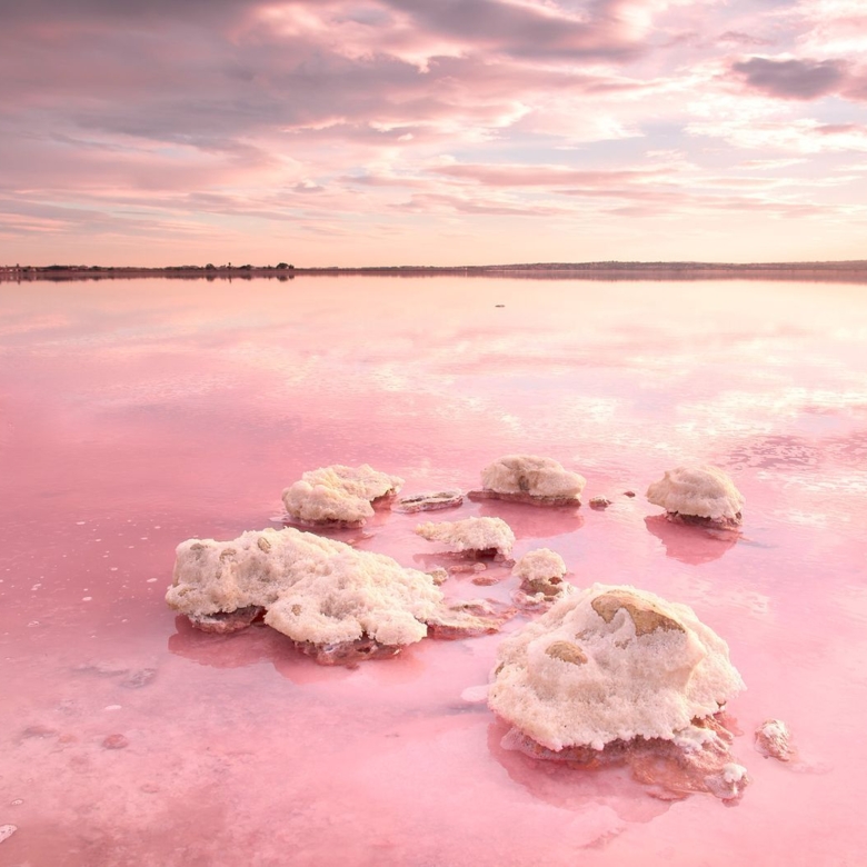 Fascinante Historia de las Salinas de Torrevieja: Del Tesoro Real al Paraíso Rosa de Europa